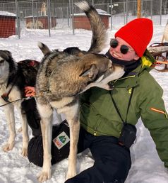 29 38 Lapland 20